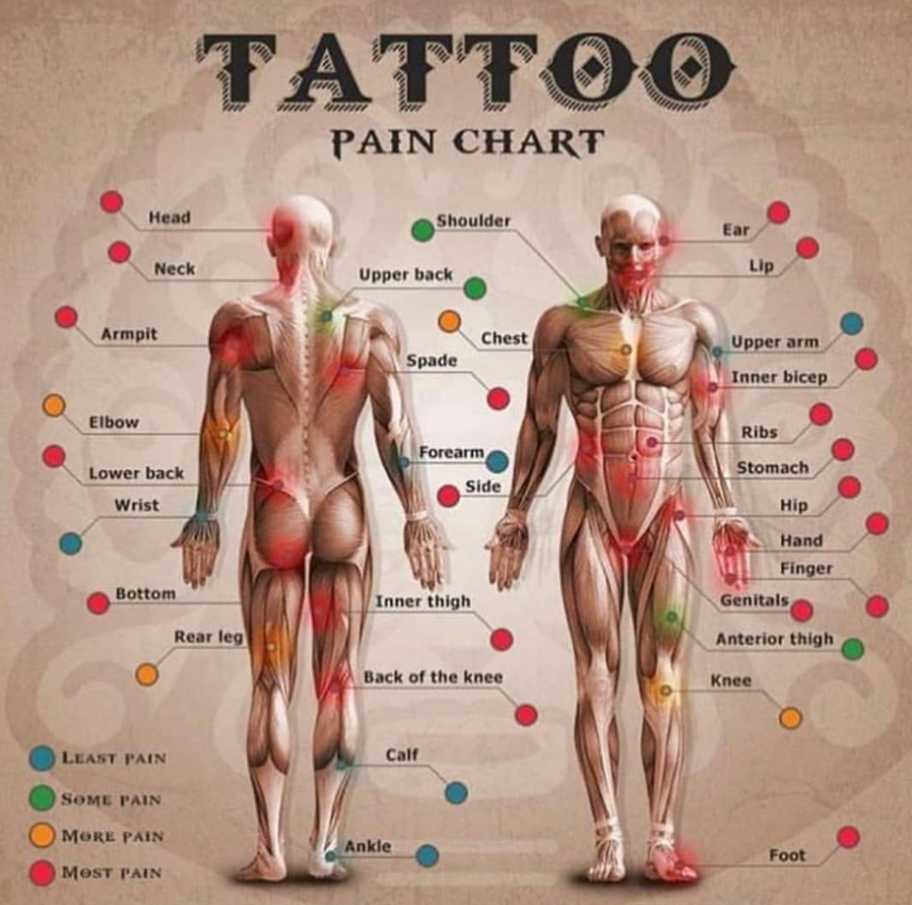 18 Most Painful Places to Get a Tattoo on Your Body
