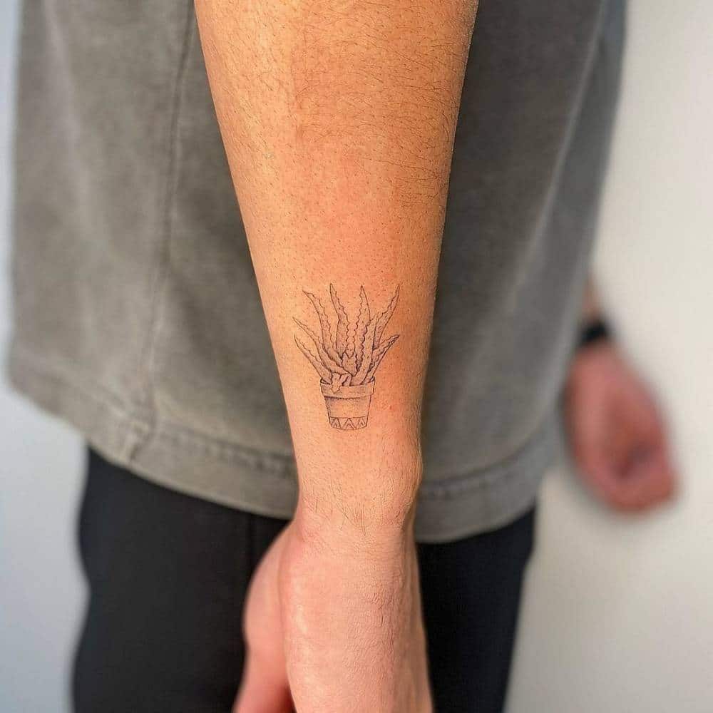 Aloe Vera On Tattoo