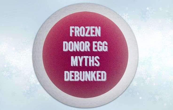 Frozen Donor Egg Myths
