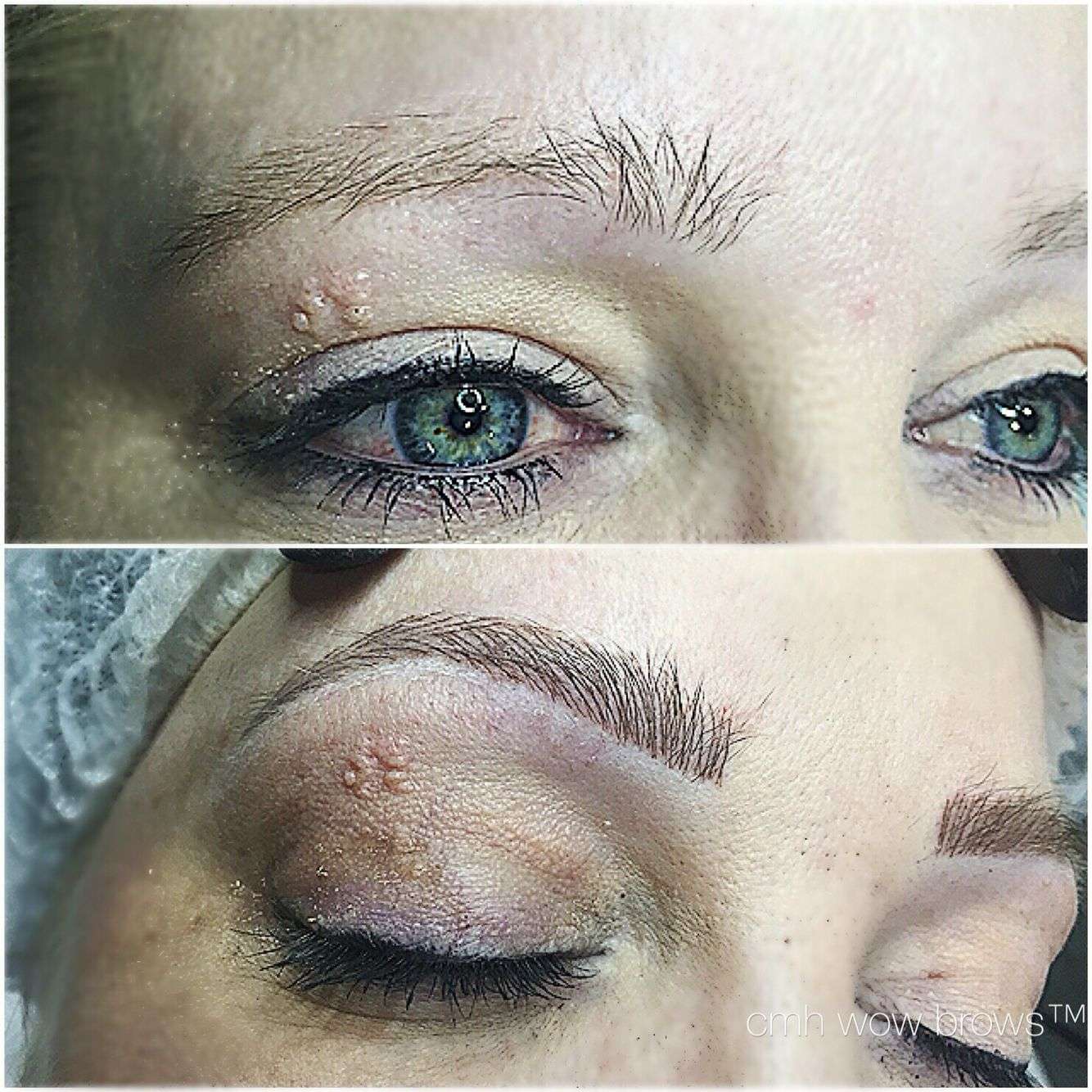 Natural Eyebrow Tattooing Hair stroke / Feather Touch / Microblading ...