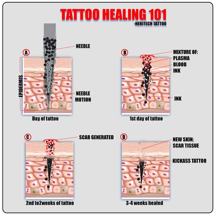 Tattoo Healing Process Day By Day